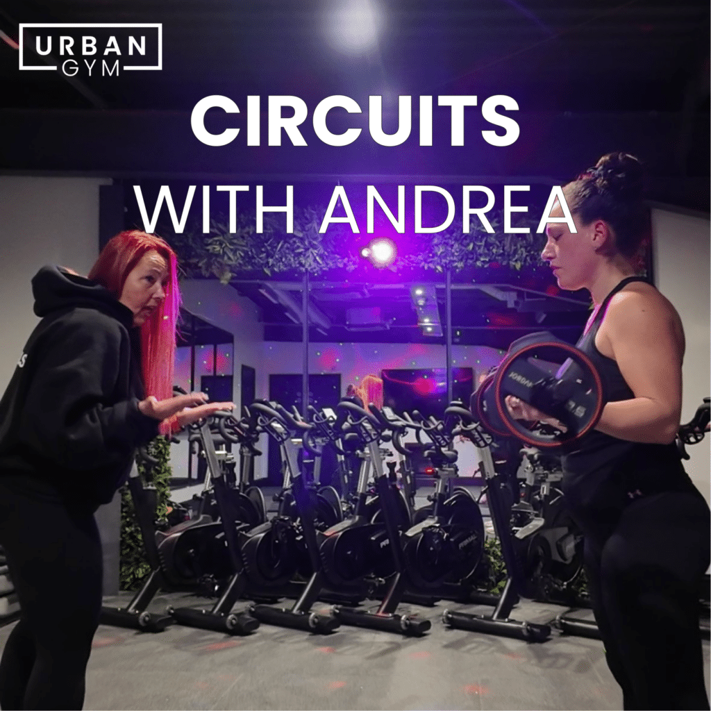 CIRCUITS WITH ANDREA