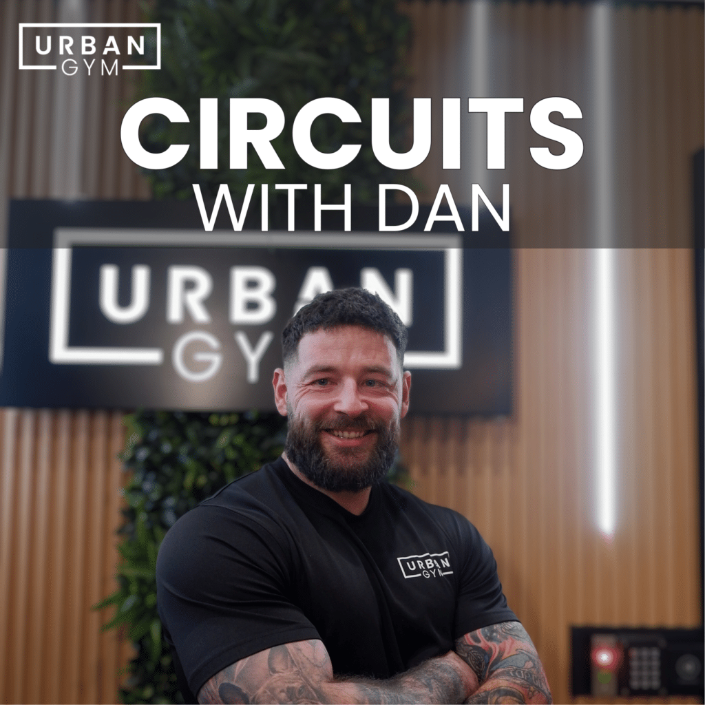 CIRCUITS WITH DAN